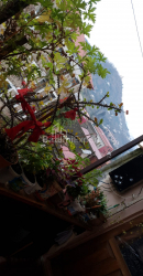 Mənzil 84 m² - Svişçevski, Batumi, Gürcüstan