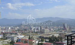 Mənzil 31 m² - Niko Pirosmani, Batumi, Gürcüstan
