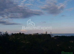 Torpaq sahəsi 300 m² - Yurievskaya, Batumi, Gürcüstan