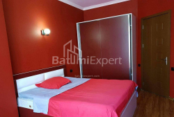 Mənzil 2-комн 45 m² - İlya Çavçavadze, Batumi