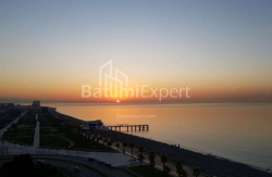 Mənzil 2-комн 48 m² - Şerif Ximşiaşvili, Batumi