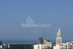 Mənzil 2-комн 42 m² - İlya Çavçavadze, Batumi