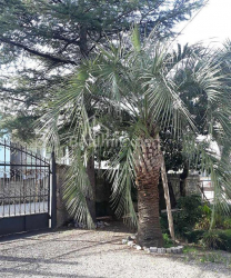 Mənzil 52 m² - Yurievskaya, Batumi, Gürcüstan