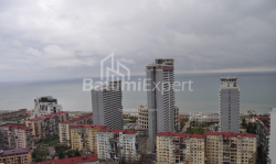 Mənzil 2-комн 43 m² - Niko Pirosmani, Batumi