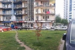 Mənzil 1-комн 286 m² - Şerif Ximşiaşvili, Batumi