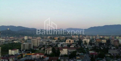 Mənzil 2-комн 42 m² - Niko Pirosmani, Batumi