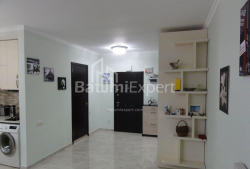 Mənzil 1-комн 50 m² - Niko Pirosmani, Batumi