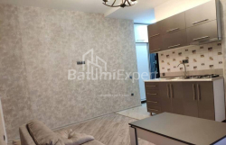 Mənzil 2-комн 40 m² - Niko Pirosmani, Batumi