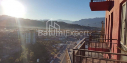 Mənzil 1-комн 28 m² - Petra Bagrationi, Batumi