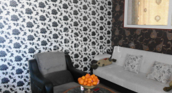 Mənzil 3-комн 65 m² - Niko Pirosmani, Batumi