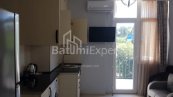 Mənzil 30 m² - Axalgazrdoba, Makhinjauri, Gürcüstan