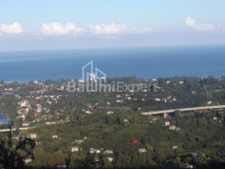 Fərdi ev 5000 m² - Mezqvarta, Chakvi, Gürcüstan