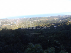 Fərdi ev 5000 m² - Mezqvarta, Chakvi, Gürcüstan