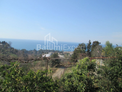 Fərdi ev 4000 m² - David Agmashenebeli, Kobuleti, Gürcüstan