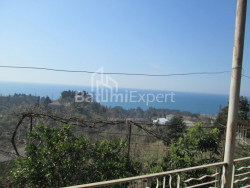 Fərdi ev 4000 m² - David Agmashenebeli, Kobuleti, Gürcüstan