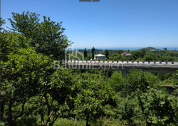 Torpaq sahəsi 536 m² - Ağmaşenebeli, Chakvi, Gürcüstan