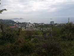 Torpaq sahəsi 1000 m² - Axalgazrdoba, Makhinjauri