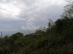 Torpaq sahəsi 1000 m² - Axalgazrdoba, Makhinjauri