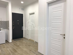 Mənzil 2-комн 48 m² - Zuraba Qorqiladze, Batumi
