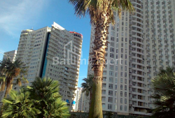 Mənzil 29 m² - Zuraba Qorqiladze, Batumi, Gürcüstan