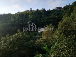 Fərdi ev 4-комн 2501 m² - Akaki Şainidze, Khelvachauri
