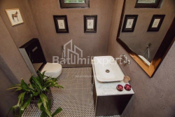 Fərdi ev 280 m² - hava limanı şosesi, Batumi, Gürcüstan
