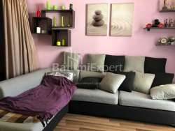 Mənzil 2-комн 48 m² - Niko Pirosmani, Batumi