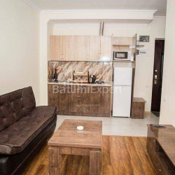 Mənzil 2-комн 41.2 m² - Aleksandra Puşkin, Batumi