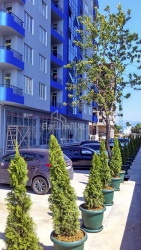 Mənzil 30 m² - Şerif Ximşiaşvili, Batumi, Gürcüstan