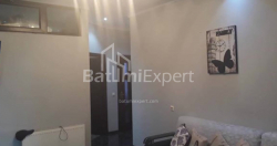 Mənzil 5-комн 120 m² - İlya Çavçavadze, Batumi
